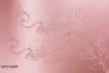 Nova Gift Card